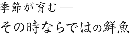 季節が育むその時ならではの鮮魚